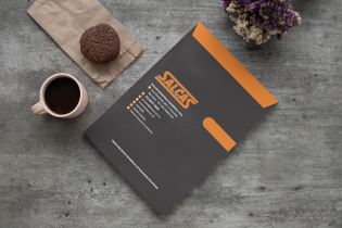 Envelope Saco – Salcas